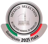 mexico seleccion 2021 plata